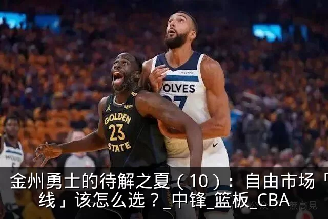 金州勇士的待解之夏（10）：自由市场「内线」该怎么选？_中锋_篮板_CBA